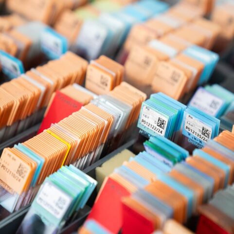 Zahlreiche Mikroskopie-Objektträger in verschiedenen Farben und Kategorien, ordentlich in einer Box sortiert.