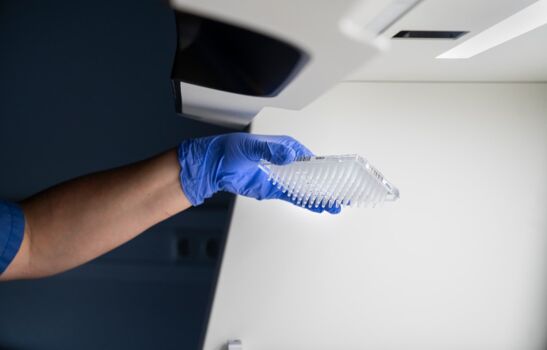 Überprüfen einer Probenplatte Eine Hand in blauer Einmalhandschuhen hält eine transparente Probenplatte unter hellem Licht, bereit für die Analyse in einem modernen Labor.