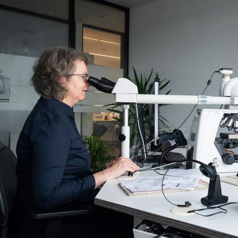 Gemeinsame Fallbegutachtung am Mikroskop Zwei Frauen in einem modernen Labor sitzen sich gegenüber und arbeiten an einem Mikroskop. Eine Frau trägt ein dunkelblaues Oberteil, die andere ein hellblaues Hemd. Im Hintergrund sind Bücherregale und Pflanzen zu sehen.