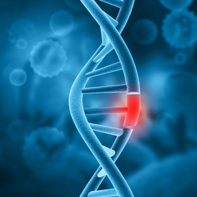 Chromosomenanalyse Das Modell zeigt eine detaillierte DNA-Struktur auf einem blauen Hintergrund, die von virenartigen Zellen umgeben ist. Ein kleiner Bereich der Struktur ist rot eingefärbt.