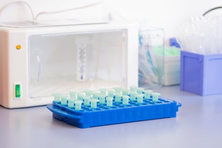 Auf einem Labortisch ist ein Halter mit mehreren Probenrohren zu sehen.