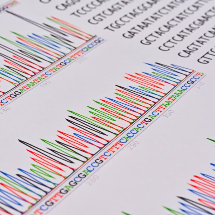 Dieses Foto zeigt das Ergebnis einer PCR-Sequenzierung in Form eines Diagramms in einer Nahaufnahme.