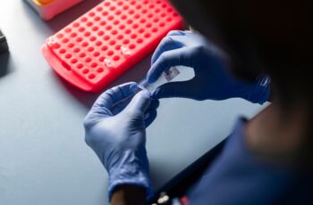 Nahaufnahme von Händen in blauen Handschuhen, die eine Laborprobe bearbeiten, mit einem roten Probenrack im Hintergrund auf dem Labortisch.