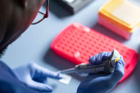 Laborant mit blauen Handschuhen führt eine Pipettierarbeit durch, mit einem roten Probenrack und weiteren Labormaterialien im Hintergrund.